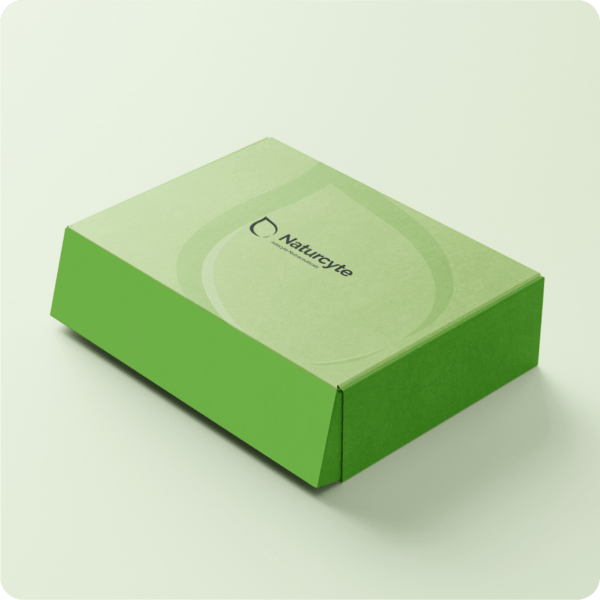 PROTOCOLO QURA - Imagen 3