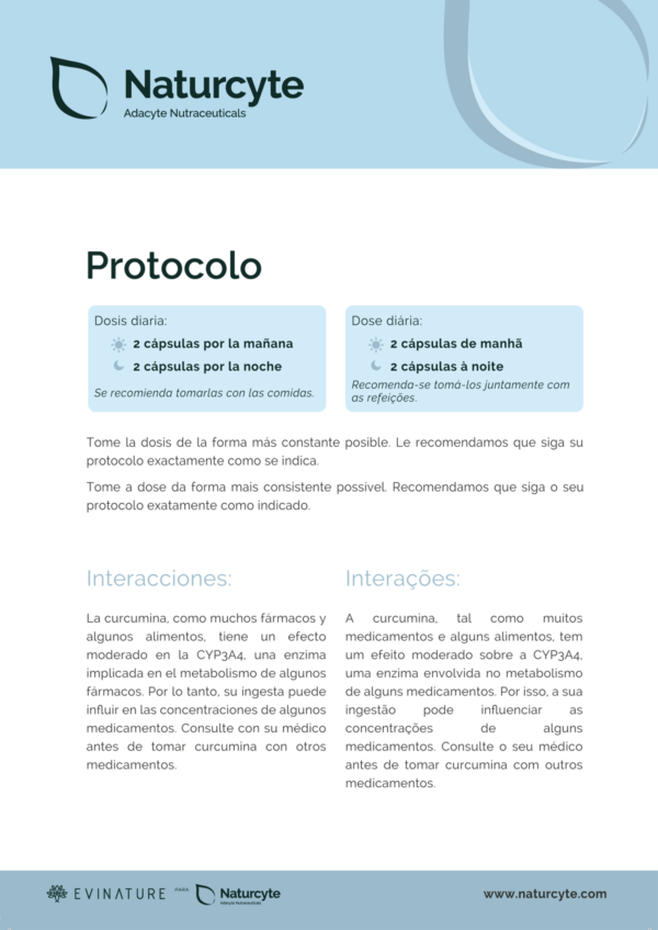 PROTOCOLO QURA - Imagen 4